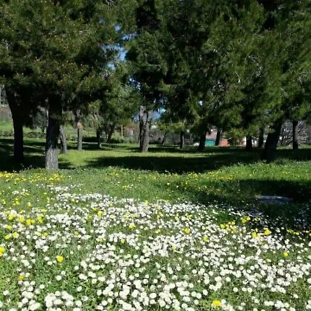 ベッド・アンド・ブレックファスト La Collina Sul Mare 3*