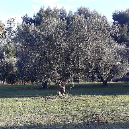 La Collina Sul Mare 3*