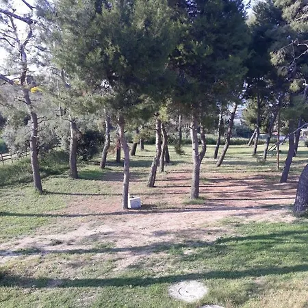 La Collina Sul Mare مارينا بالمينس