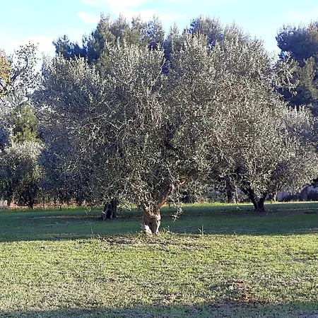 La Collina Sul Mare Nocleg ze śniadaniem