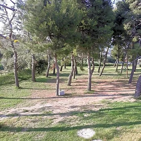 La Collina Sul Mare مارينا بالمينس